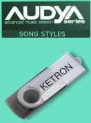 Ketron Song Styles Pop Hits Pen Drive 2012 voor Audya