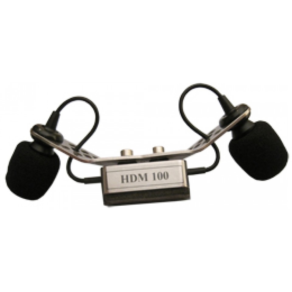 Harmonikatechnik HDM-D100 discant micro